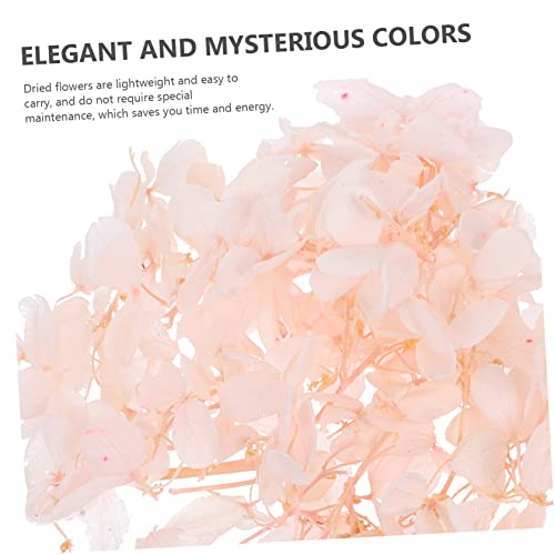 EXCEART 1 Conjunto De Flores Secas De Imortalidade Rosa Flores Naturais Plantas Flores Secas Feitas