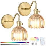 EIDEARAY Akku Wandleuchte Innen,Vintage Gold LED Wandlampe Ohne...