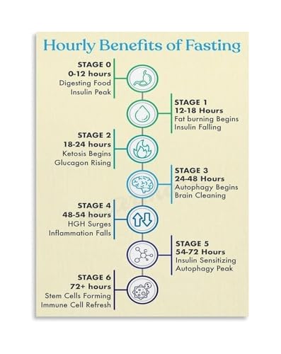 Fasting Metabolism Chart Hourly Intermittent Fasting Guide Autophagy Stage Ketosis Phase For Wellness Clinic Health Learning Dec