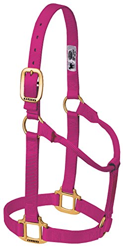 Cabestro no ajustable Weaver Leather 35-1002-RA frambuesa para ponis y potros