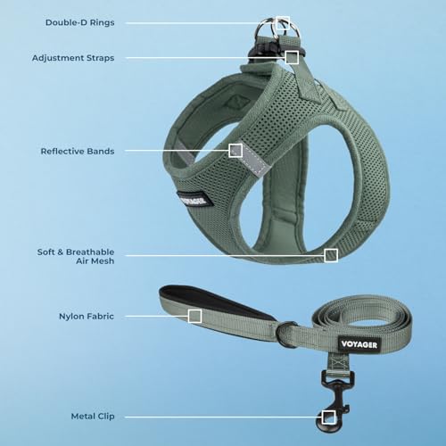 Image of Best Pet Supplies Voyager Step-in Air All Weather Mesh Harness and Reflective Dog 5ft Leash Combo with Neoprene Handle, for Small, Medium and Large Breed Puppies - Set (Moss Green), Large