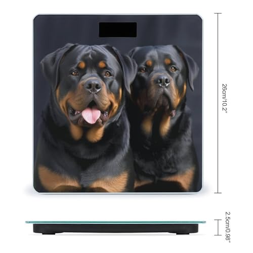 Báscula Digital para Cuerpo con Pantalla LCD y Cristal Templado miniatura 2