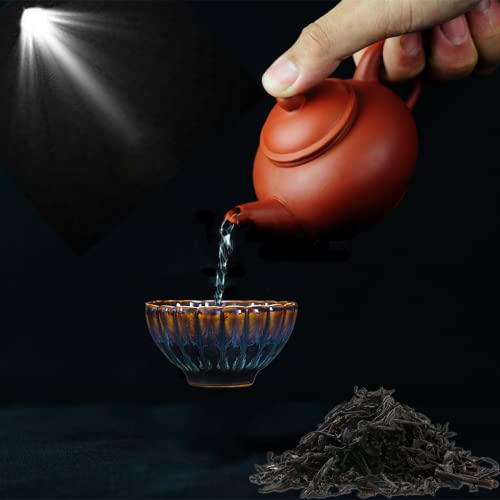 Silver Fish Jianzhan Tea Cup, Beautiful 3D Chinese Kungfu Teacups Handicrafts Tenmoku Glaze Ceramic Tea Cup (Jianzhan Sliver Fish Cup) #TOP3