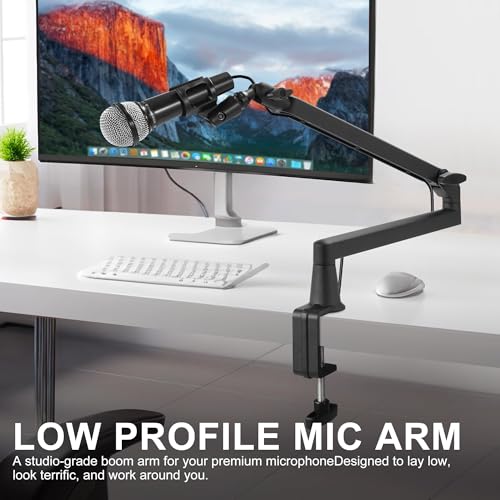 Professional Studio Boom Arm Mic