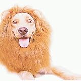Funny Dog Costume, Lion Mane Wig for Dog Halloween Christmas Dress Up (with Ears, Color: Light Brown, Size: Large)