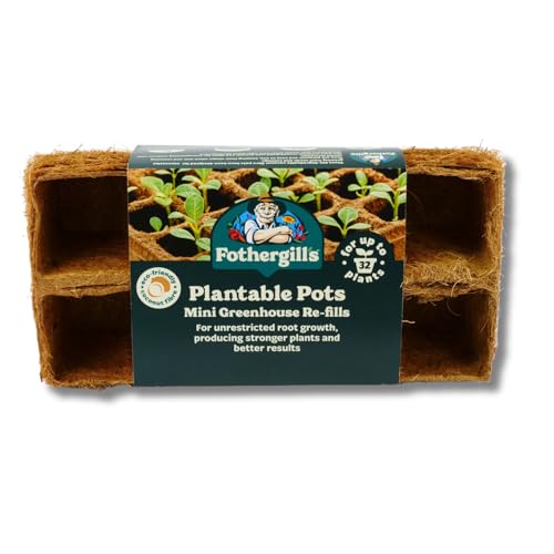 Mr. Fothergill's - Kit de Invernadero, Color Negro, Mediano