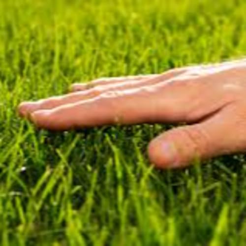 S2E16--Week of 12.12.2025: Touching Grass Isn't Enough, I Need Hawaiian Bread and Red Wine