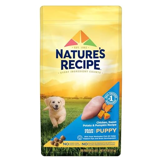 Nature's Recipe Grain Free Puppy Dry Dog Food, Chicken, Sweet Potato & Pumpkin Recipe, 4 lb. Bag
