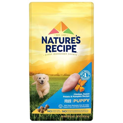 Nature's Recipe Grain Free Puppy Dry Dog Food, Chicken, Sweet Potato & Pumpkin Recipe, 4 lb. Bag