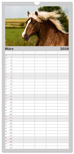 Familienplaner 2026 - Faszination und Vielfalt - Schwarzwälder Kaltblut mit 5 Spalten (Wandkalender, 21 cm x 45 cm), CALVENDO: Kraftvoll, elegant, ... Pferd durch das Jahr (CALVENDO Tiere)