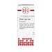 Produktbild DHU Allium cepa C30 Streukügelchen, 10 g Globuli