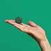 Speks Magnetic Balls - Classic Green Set of 512 (2.5mm) - Fun Stress Relief Desk Toy for Adults - Mashable Smashable Buildable