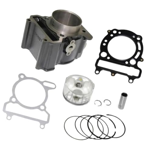 Cylindre moto 69mm avec axe de piston pour YP250 et scooter ATV