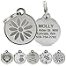 GoTags Playful, Custom Engraved Pet ID Tags, Solid Stainless Steel, Personalized Dog and Cat Pet ID with up to 4 Lines of Text, Cute, Durable and Long-Lasting