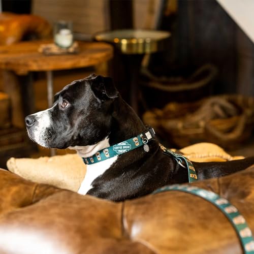 Laisse Max & Molly Café en taille M pour chien actif