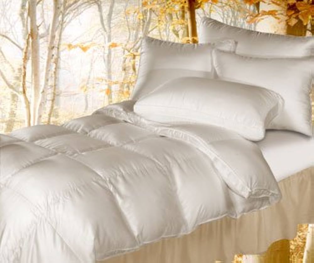 850 fill power down comforter Clearance