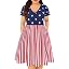 E012-star Stripes Print