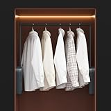 AngelParticle Electric Pull Down Closet Rod,Smart Closet Rods for Hanging Clothes;Touch Switch,Anti-Collision,LED Light;Clothes Rack Wardrobe Lift Rail Storage Organizer Can Be Freely Cut
