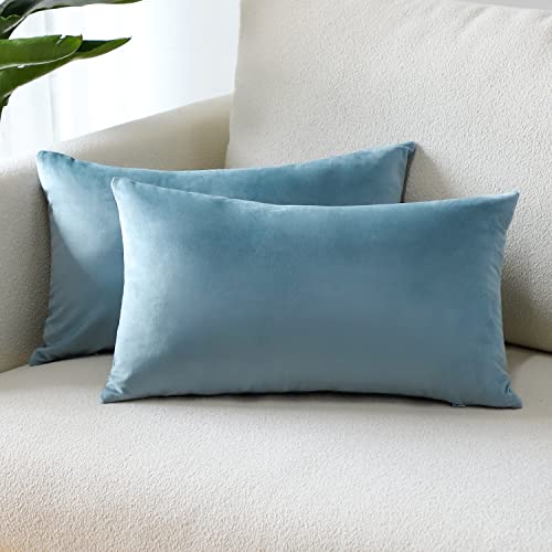 Sungeek Lot de 2 Housses de Coussin en Velours, Housse Coussins Decoratif Doux avec Fermeture éclair Invisible Taies d'oreiller de Luxe pour Canapé Lit Chaise Chambre Salon (30x50 cm, Bleu Clair)