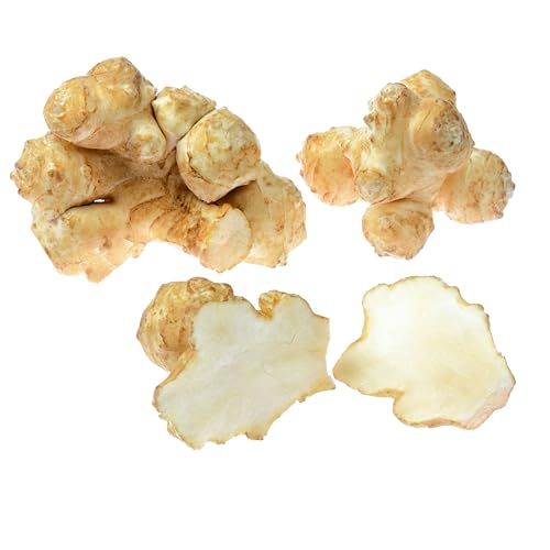 Sunchokes for Planting | Non GMO & Heirloom Jerusalem Artichoke Tubers | 1/2 LB (8 oz) Resealable Bag (Approximately 7 Sunchoke Tubers) | Rainbow Heirloom Seed Co.