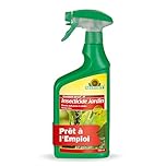 Neudorff Spruzit Insecticide Jardin - Combat les adultes, les larves et les œufs des pucerons, cochenilles et autres ravageurs. Action choc. Prêt à l'emploi, 750 ml
