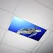 Ocean 008 2x4 Flexible Fluorescent Light Cover
