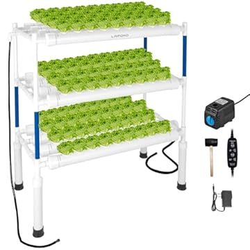 hydroponics gardening kits for beginners