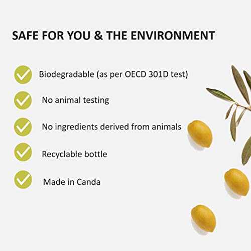 Fruits And Passion Cucina Coriander And Olive Tree 8.4 Oz Mini Size Purifying Hand Wash, Hand Soap Refill #TOP3