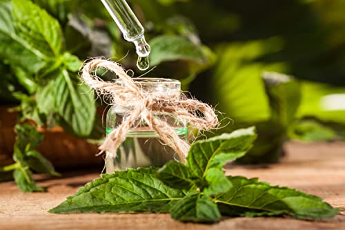 Essences Bulgaria Organic Mint Essential Oil 1/3 Fl Oz | 10Ml | Mentha Arvensis | 100% Pure And Natural | Undiluted | Therapeutic Grade | Family Owned Farm | Steam-Distilled | Non-Gmo | Vegan (Mint) #TOP4