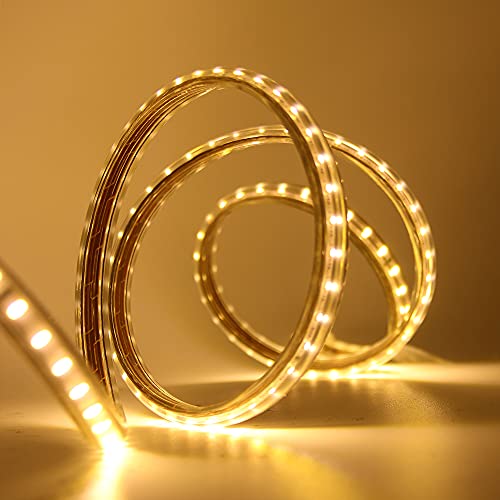 HEGEHE SMD 3014 LED Strip Light with Switch Power Cord, 220V Waterproof Kitchen Cabinet Ceiling Home Garden Deck Rope Light Warm White (1 Meter)