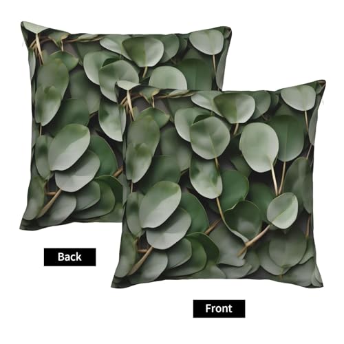 Housse de coussin eucalyptus lavable pour rénover le canapé