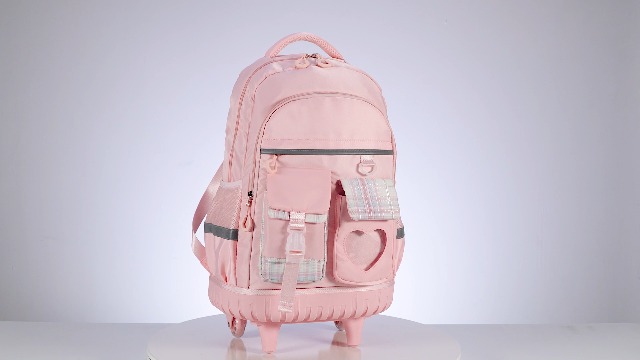 Amazon.com | ACESAK Rolling Backpack for Girls - Roller Wheels