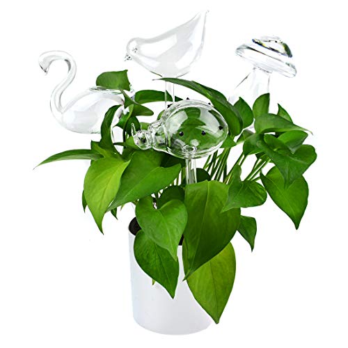 LadyRosian 4 Pack Plant Waterer Self Watering Globes, Hand Blown Transparent Glass Plant Watering Mini Durable Clear Glass Aqua Bulbs, Automatic Plant Watering Devices (4 Pack Different-Shaped)
