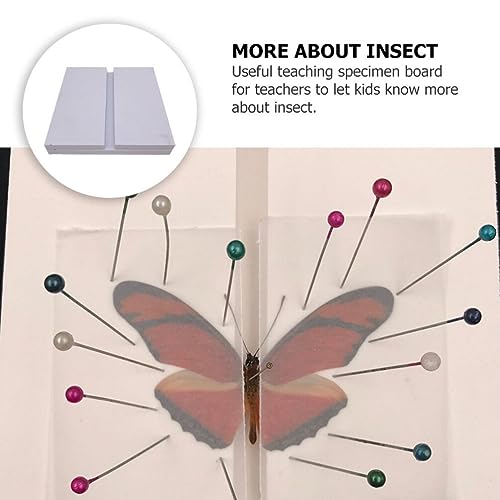 Image of ULTECHNOVO PVC Specimen Display Board for Science Education Insect Collection and Experiment Teaching Tool Portable and Easy to Store Ideal for Classroom Use