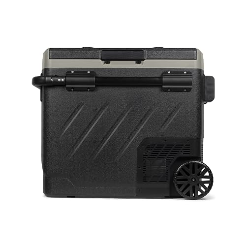 Steamy E Dual Zone 61 Roller