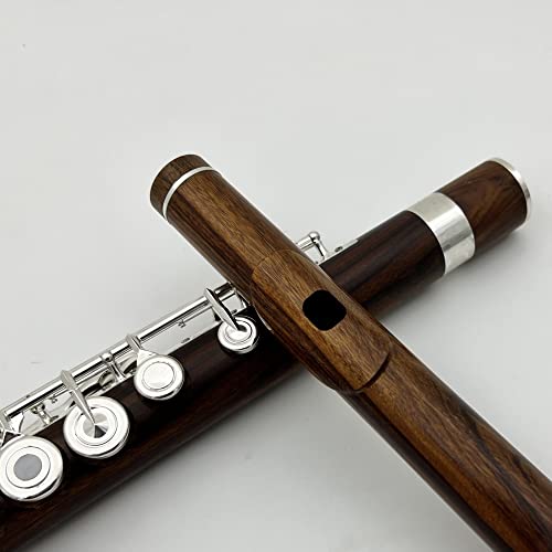 Flauta Travesera Flauta 17 Orificio Abierto Plata Plateado Llave De Palisandro E Tecla B F Pie Instrumento Musical con Estuche
