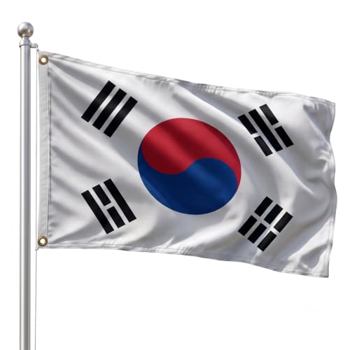 DMSE South Korea National Flag, 2ft x 3ft - Fade-Resistant Outdoor & Indoor Flag - Quad-Stitched Fly End & Heavy-Duty Brass Grommets (2ft x 3ft)