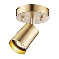 Globe Electric 59765 Pratt 1-Light Track Lighting Spotlight, Matte Brass, Gold