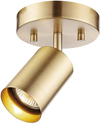 Globe Electric 1-Light Track Spotlight, Matte Brass, Pivoting Head, Dimmable, Modern Glam, 59765