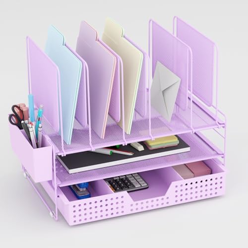 LEKETREE Desk Organizer, Office Organization with Vertical File Holder, File