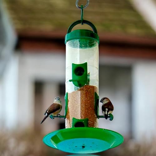 Image of Hanging Food Feeder for Balcony, Large Bird Feeder for Outdoor & Garden | 900 Capacity I Premium Hard Plastic Weatherproof (Pack of 1 Pcs)