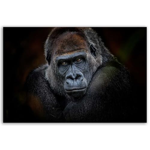 Hexoa Tableau Portrait Gorille au Regard Intense Fond Sombre - Made in France - 60x40
