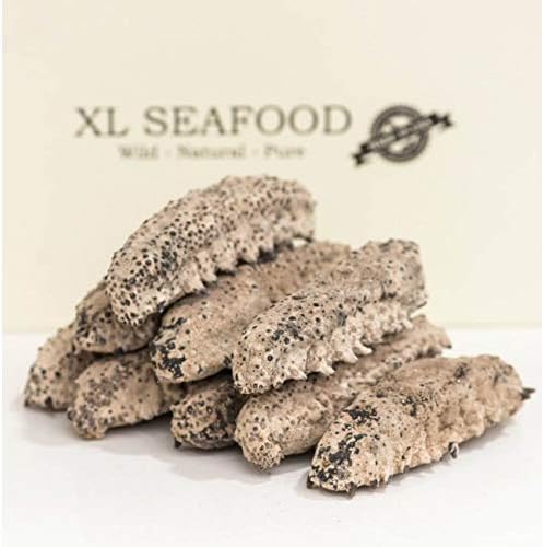 XLSEAFOOD Sun Dried Wild Caught Mexico Sea Cucumber AAA Grade Sample Pack 美国旭龙行 野生淡干海参 墨西哥双排刺参肥仔参 一级品 试吃装 (SAMPLE)