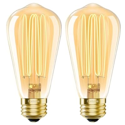 Owilukie E26 LED Bulb 6W Equivalent Edison Light Bulbs 60 watt, ST64 Vintage Edison Bulbs, Warm White 2200K Amber, Dimmable ST21 LED Light Bulb, AC120V, 400lm, CRI90, Pack of 2