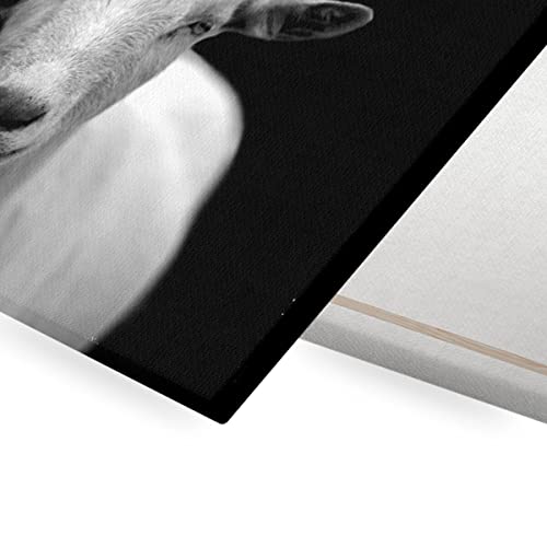 Toile imprimée bouc blanc photo noir et blanc nature chèvre - 2
