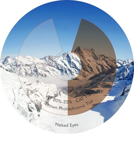 Image of Replacement Lenses Compatible with RayBan Meta Skyler RW4010 52mm AI Glasses, UV Protection, Transition