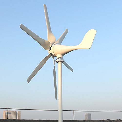 Turbina eólica de 800W con regulador MPPT 48V para kit de energía eólica doméstica 2