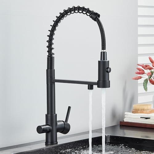 Robinet d'eau potable noir mélangeur double mode en laiton pour évier de cuisine tap