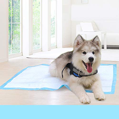 Gojira Pets/Dogs/Cats Pee Training Pads, Leak-Proof 5-Layer Pee Pads with Quick-Dry Surface for Potty & Pee Training - 60X45cm (Pack of 4) (B09JMZJV9D) Amazon Price History, Amazon Price Tracker
