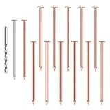 Sileduove Clavos de cobre, uñas para matar árboles, clavos de eliminación de tocones para jardín y silvicultura, construcción de cobre puro, acción rápida para liberación de iones, 35 pulgadas de